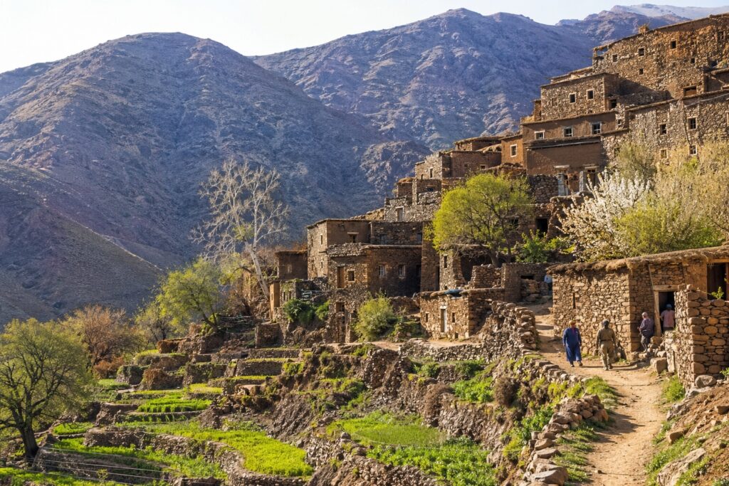 Berber culture