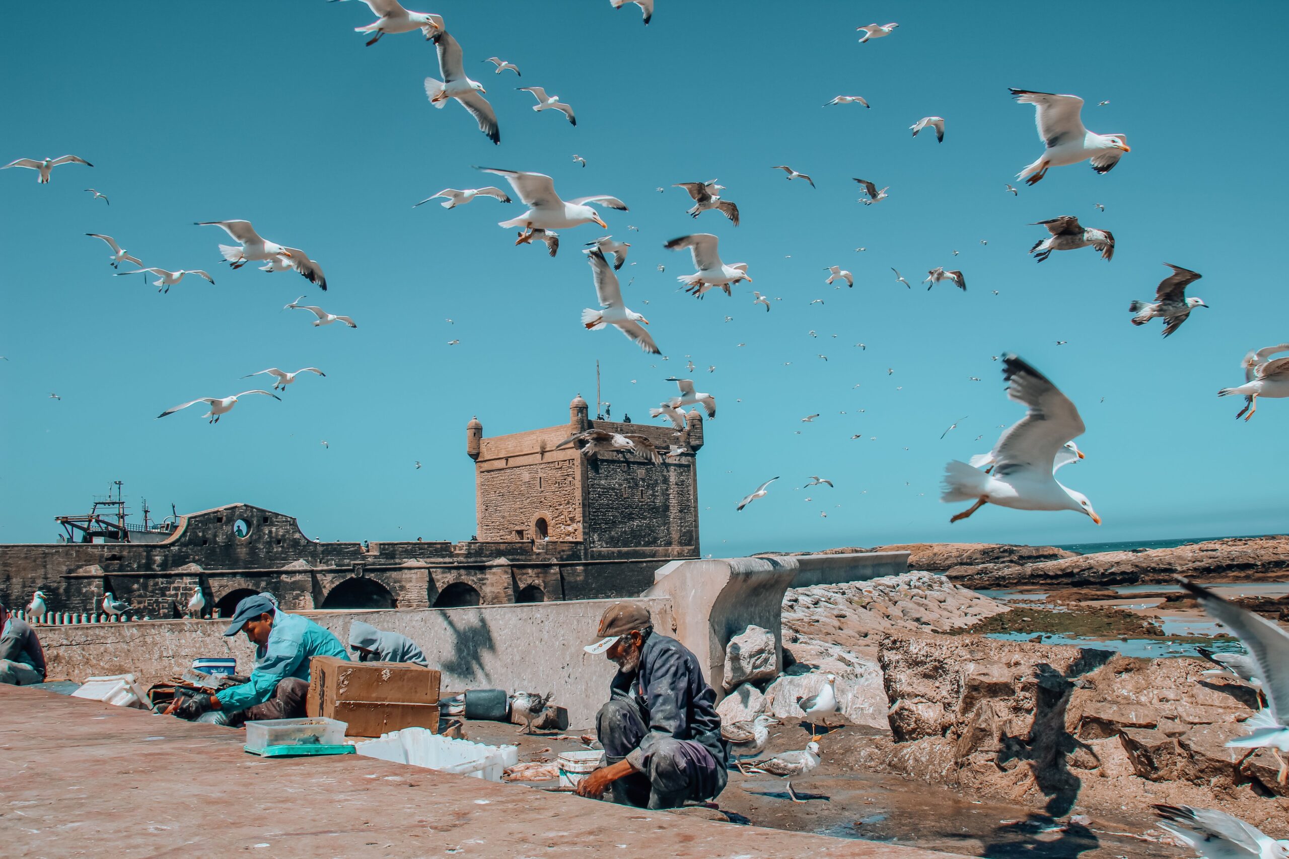 things to do in Essaouira